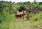 Malawi: Zomba