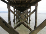 Aanlegsteiger Pulau Manukan