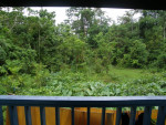 Uitzicht vanuit ons guesthouse in Poring