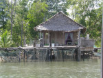 Hut aan het water, onderweg naar Turtle Islands