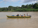 Op de Sungai Kinabatangan