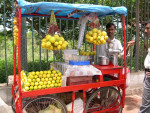Citrusfruit op straat te koop