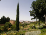 Alhambra
