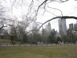 Central Park
