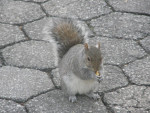 Union Square Park