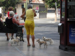 Málaga