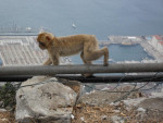 Op The Rock, Gibraltar