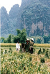 China: Yangshuo